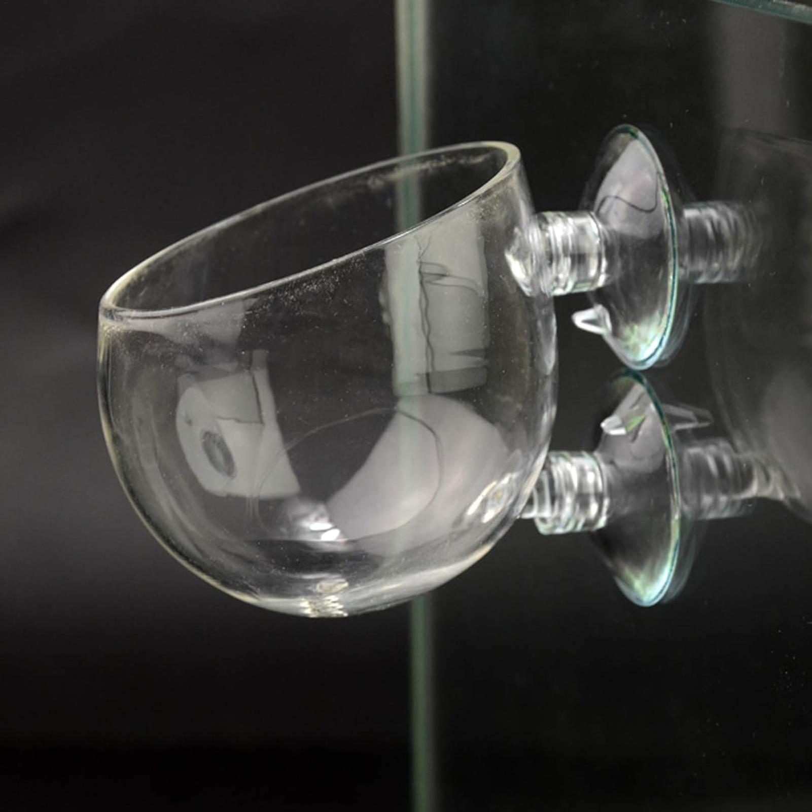 Aquarium Plant Holder Glass Aq - Badminton Live ulasan dan harga