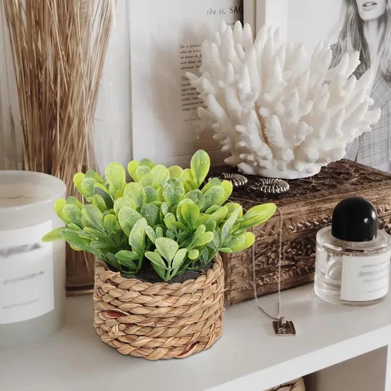 1Pc Potted Plant Small Fake Pl - Badminton Live ulasan dan harga